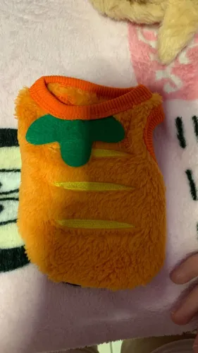 Roupa Fofa de Inverno para Cachorro e Gato - Tam XXS - NOVA