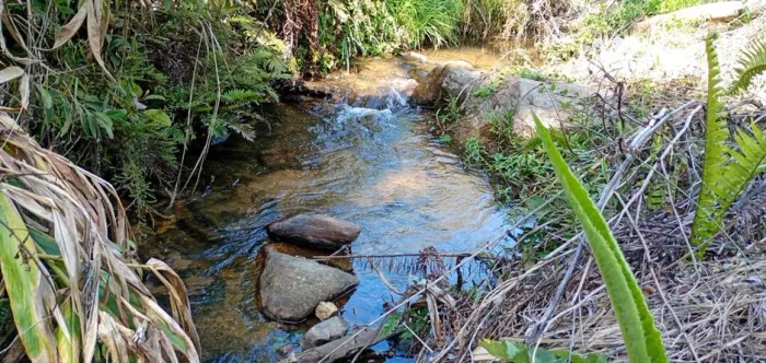 Oportunidade!! Ótimo chácara de 20.000m2 situada na serra da Mantiqueira. Delfim Moreira