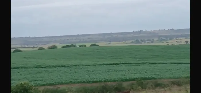 Fazenda para Arrendamento - 760 Tarefas em Inhambupe | Área Pronta para Milho