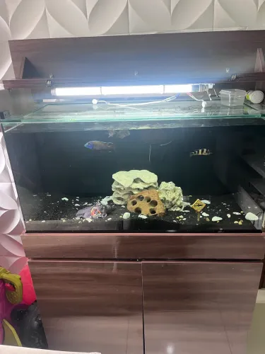 aquário 200 L completo com móvel?