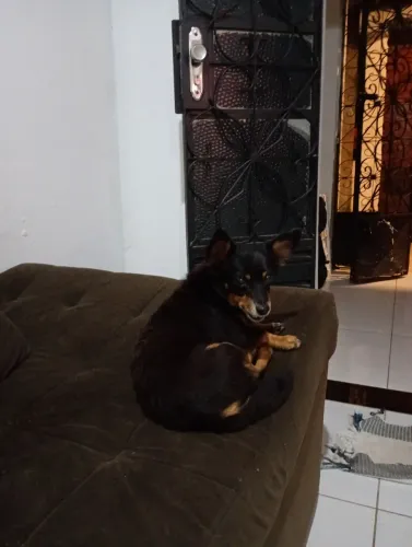 Doação 