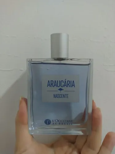 PERFUME ARAUCÁRIA L'OCCITANE
