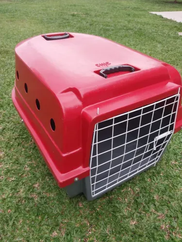 Caixa transporte cachorro porte médio.