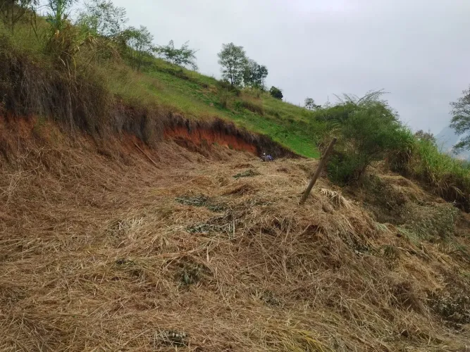 Terreno 
