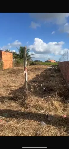 Terreno 10x30 localizado em salgado povoado tombo