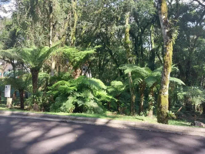 Terreno em condominio O Bosque