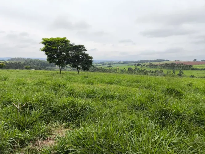 Fazenda para gado ,plantio grãos