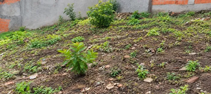 Terreno perfeito para construir seu empreendimento com excelente custo-benefício