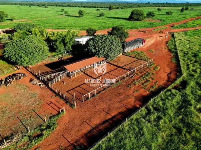 FAZENDA À VENDA NA REGIÃO DE JANAUBA MG COM TERRA VERMELHA COM PIVÕ E MUITO BEM FORMADA 10