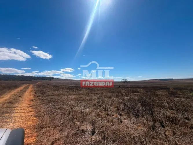 Fazenda 232 Alqueires (1.123 Hectares) Cristalina - GO