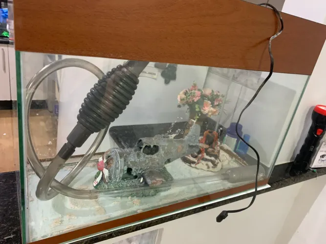 Aquario 26l