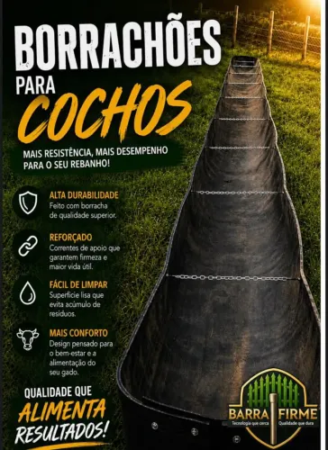 Barra firme
