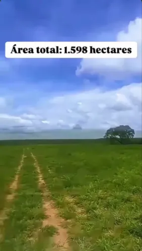 Fazenda dupla aptidão Tocantis 