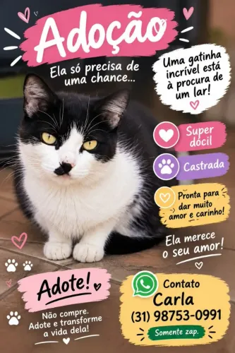 Adoração urgente