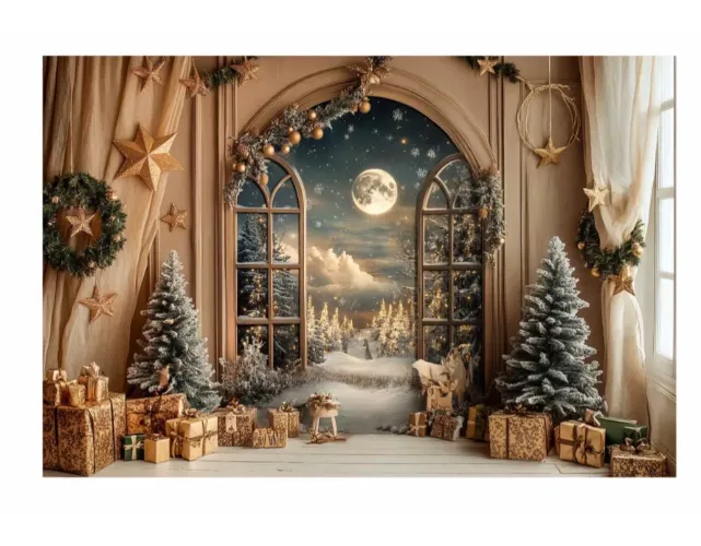 Vendo fundo fotográfico 3D  de Natal 130,00