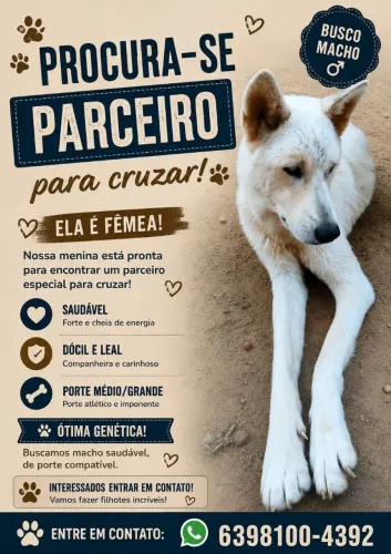 Procura-se namorado