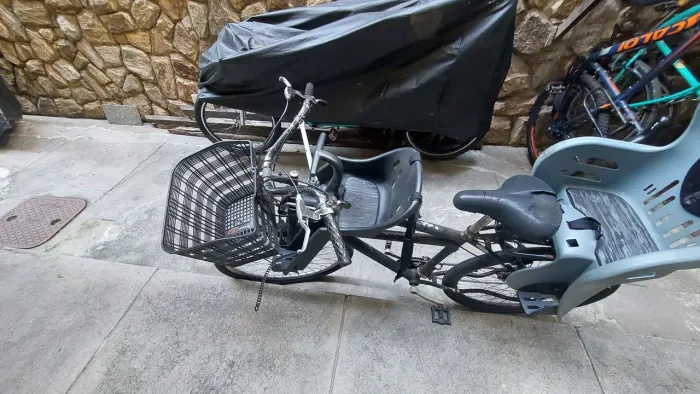 Cadeirinha Infantil de bicicleta para crianças de 1 a 4 anos