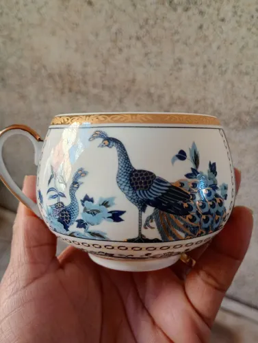 Xicara com Pires em Porcelana Bon gourmet Pavão 