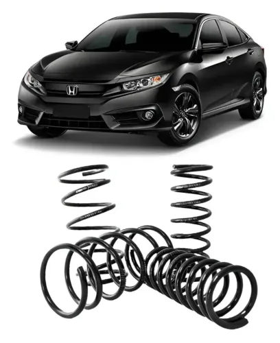 Molas civic g10