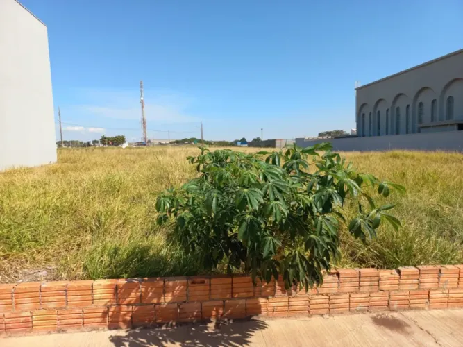 Terreno Padrão em São Manuel