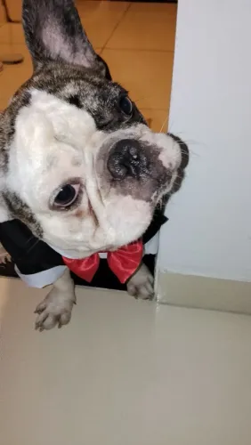 Procuro uma namorada 
