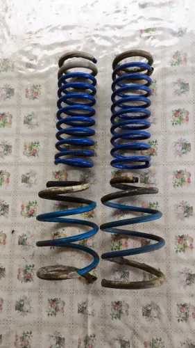 Molas esportivas