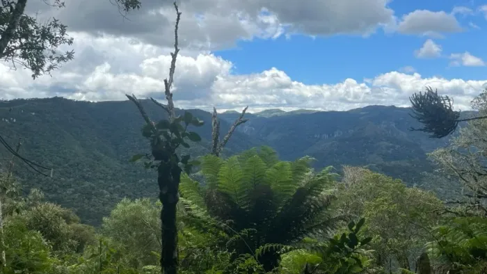 Vendo Terreno de Chácara - 4.2 Hectares - Loteamento novo - ultimas unidades