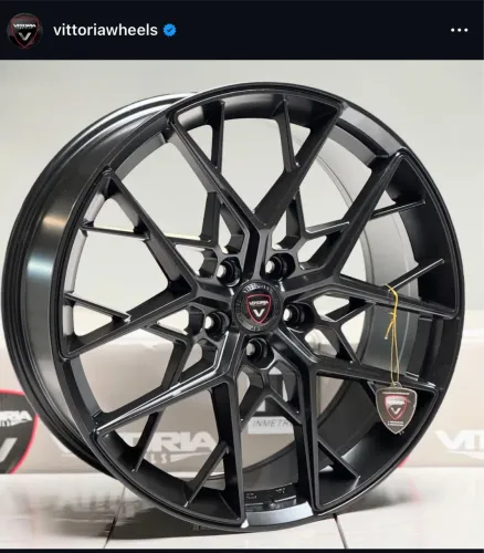Rodas Vittoria aro 20