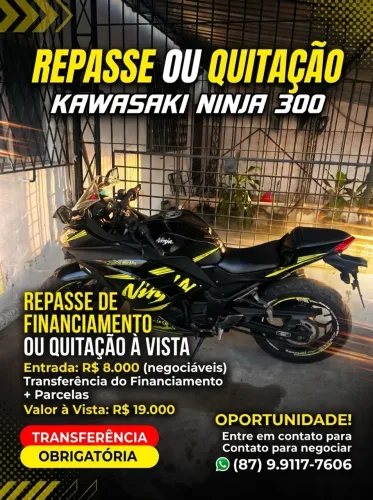 Kawasaki Ninja 300 2015