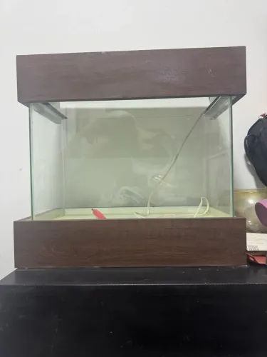Aquário com iluminação