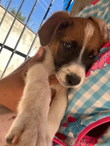 Doação entrego !!