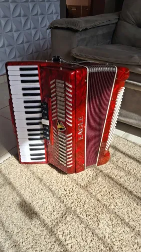 Acordeon Eagle 120 Baixos Impecável