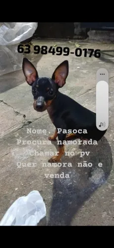 Namorada