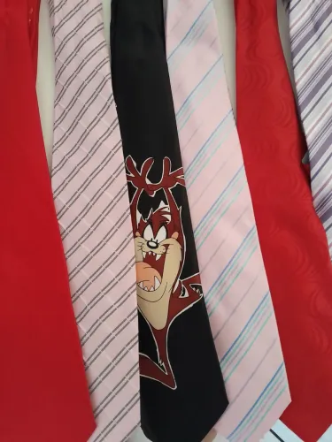 Vendo conjunto de roupa( camisas/ shorts/ bermudas e gravatas