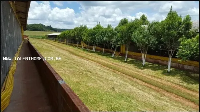 Área Rural para Venda em Ouro Verde do Oeste