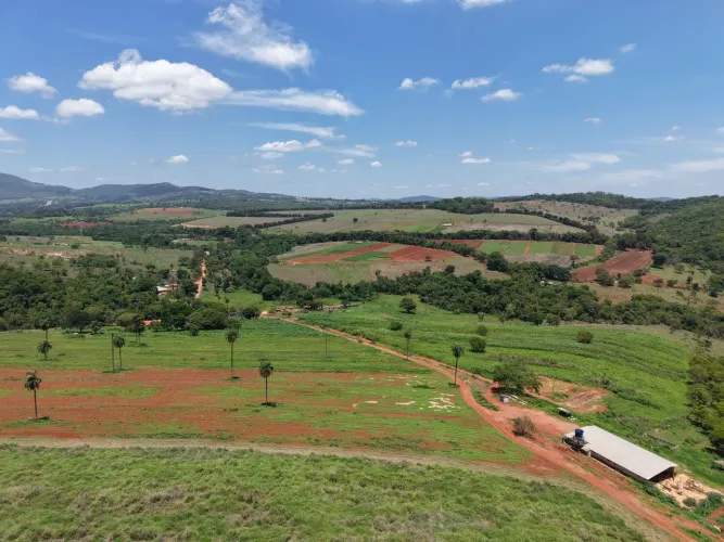 Fazendinhas na divisa de florestal