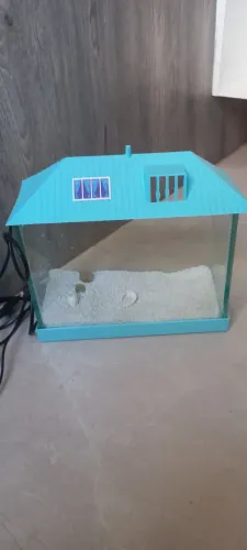 Aquário de vidro formato de casinha azul