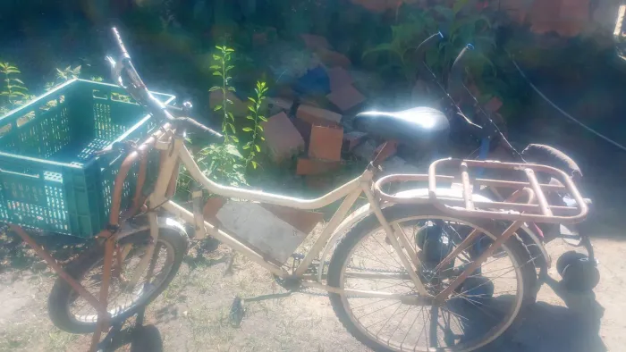 Vendo bicicleta de carga