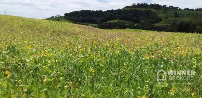 Chácara à venda, 40340 m² por R$ 420.000,00 - Gleba Cambará - Bom Sucesso/PR
