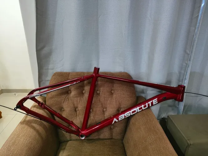 Quadro absolute wild boost aro 29