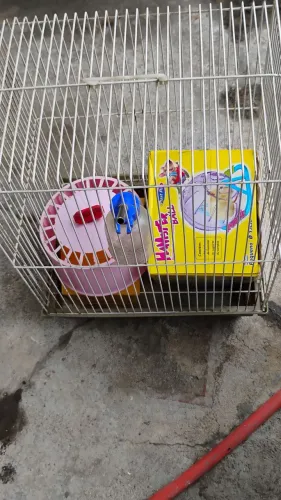 Viveiro pra hamster completo