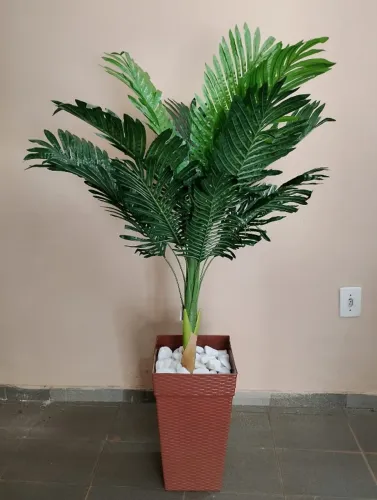 lindo vaso com tronco de coqueiro parmanente