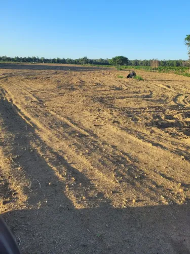Vende-se terreno na localidade de Palhal.