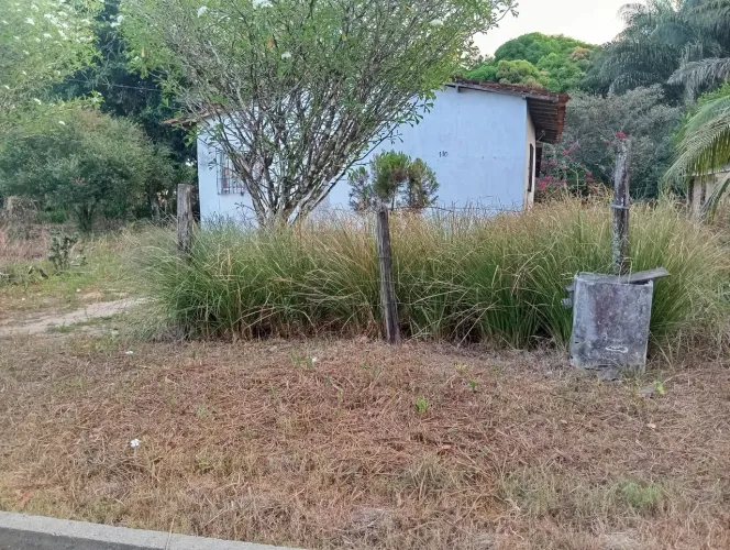 Vende-se uma casa com terreno amplo e frutífero