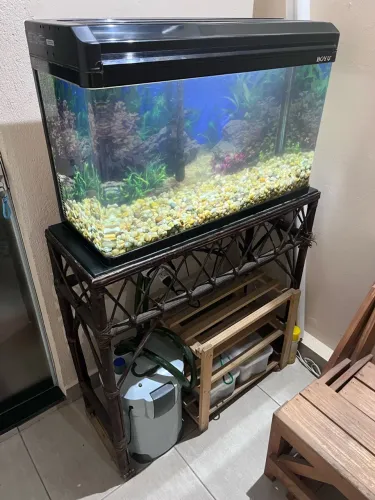 Aquário Boyu 100 litros