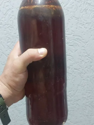 Mel de Jataí verdadeiro - 2L