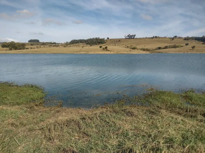 Vende-se Gleba com a Beira da Represa com  20.000m2 em Carlopolis PR.