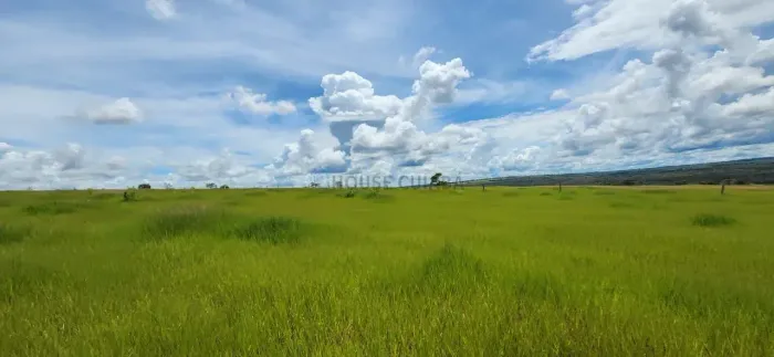 FAZENDA À VENDA REGIÃO ENTRE BARRA DO GARÇAS E NOVA XAVANTINA MT