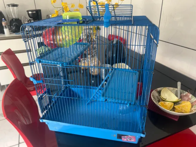 Gaiola de hamster