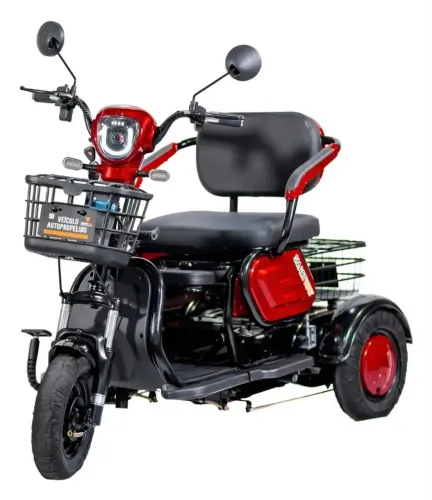 Bicicleta Elétrica Autopropelido London 800w Sem Cnh 48v